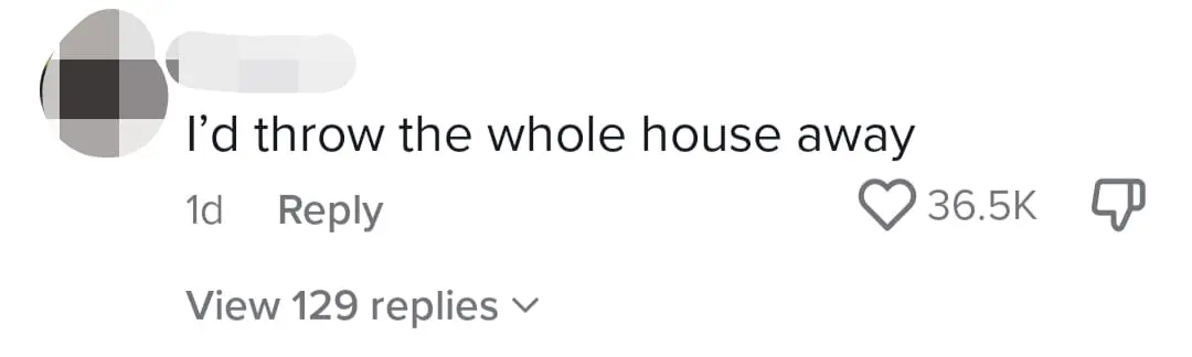 2 Giant Pythons Cause Ceiling To Crumble Like Dust, Shocks Bentong Family comment 1