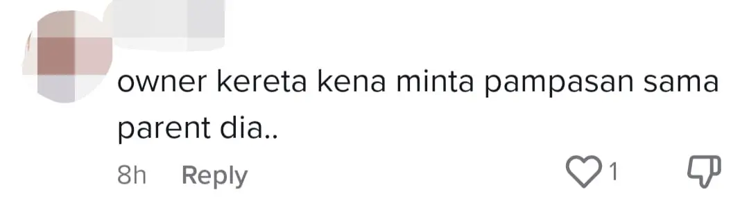 "Please Forgive Her" — M'sian Woman Begs Netizens To Stop Bashing Granddaughter Who Keyed Several Cars comment 2