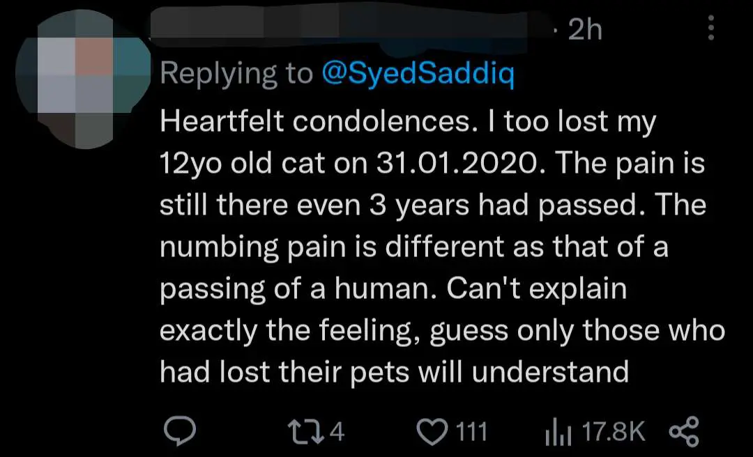 "Rest Well In Cat Heaven" — Syed Saddiq Pens Touching Post For Pet Cat Toby Who Passed Away comment 1