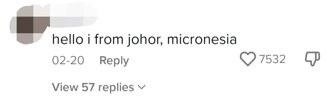 "Salam From Micronesia" — M'sians Troll American Who Mistook Jalur Gemilang As Micronesia comment 1