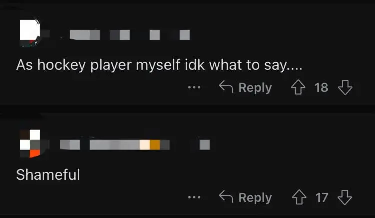 "Must Have Smelled Nice" — M'sian Hockey Player Hanis Onn Slammed For Racist Comment On AR Rahman Concert comment 1