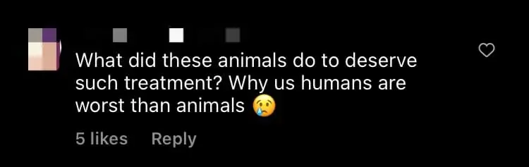 Dog Gets Dragged Behind A Lorry In Serdang, Netizens Demand Action & Justice For It comment 2