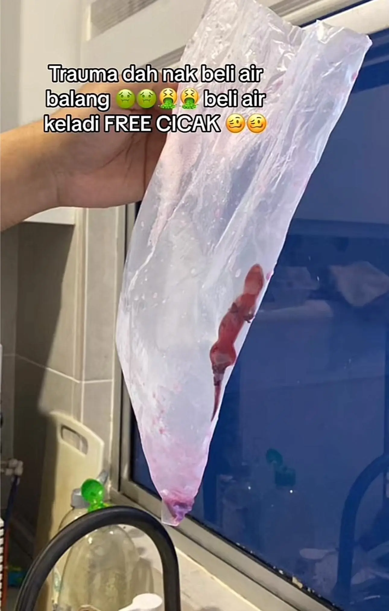 Lizard found in woman's yam drink