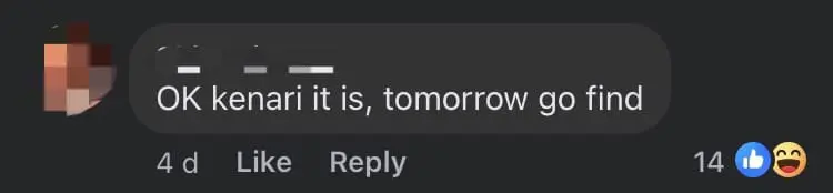 Perodua Kenari Drives Through Narrow Gap Between Boom Gate To Skip Out On Toll Fee comment 1