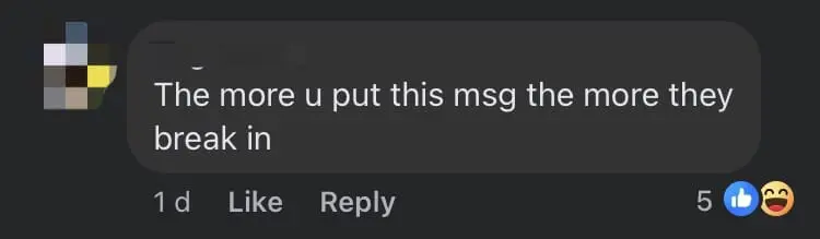 'How About Our RON95?' — M'sians Irked By SG Drivers Being Told To Put 'Nothing To Steal' Sign When Visiting comment 4