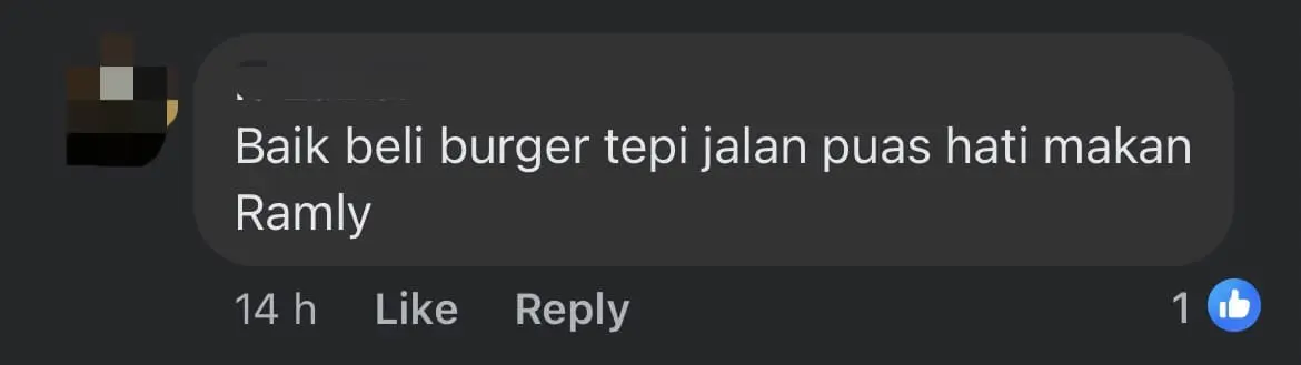 'Where's The Meat?!' — M'sian Woman Upset By Burgers Which Only Had Cucumbers Inside comment 2