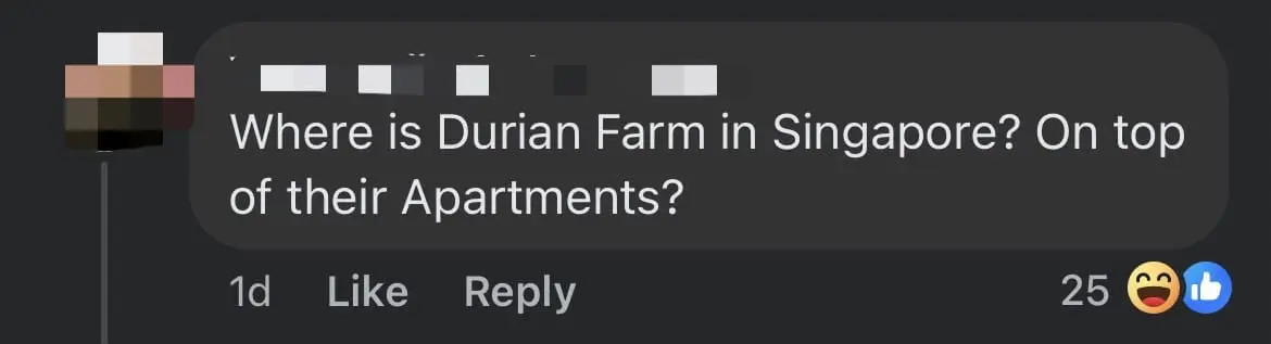 'Did It Grow On The Roof?' — M'sians Mock Poster Which Named Durian As Singapore's National Fruit comment 2