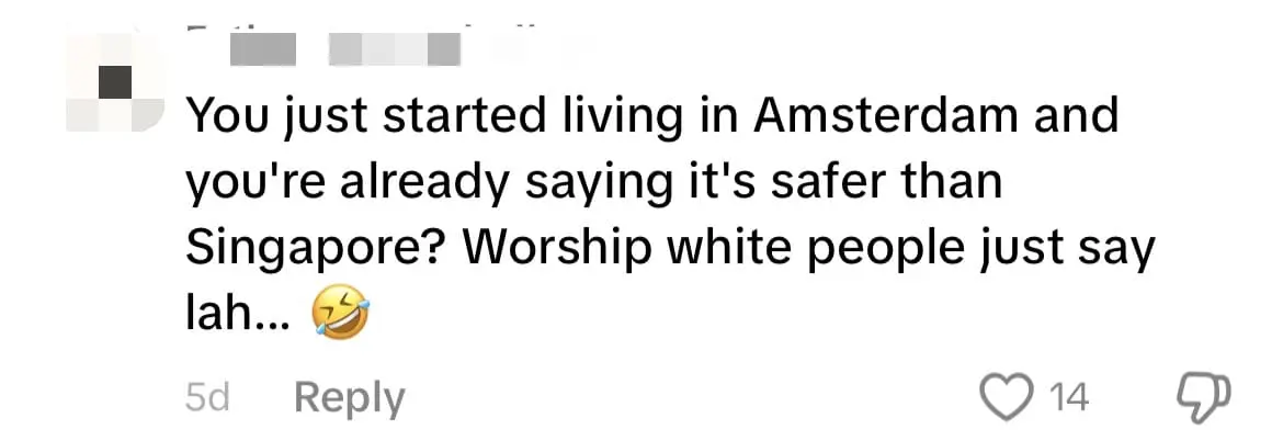 'Too Many Perverts Here' — SG Woman Says She Moved To Amsterdam As She Felt Unsafe comment 3
