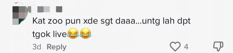 Elephants Seen Escaping To Higher Ground In Kelantan, Locals Believe It's A Sign Of Bad Weather Ahead comment 2