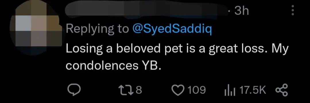 "Rest Well In Cat Heaven" — Syed Saddiq Pens Touching Post For Pet Cat Toby Who Passed Away comment 2