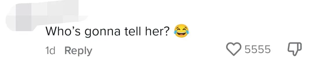 Teen Shows Off Charles & Keith Bag On TikTok, Gets Slammed For Calling It A 'Luxury' Brand comment 1