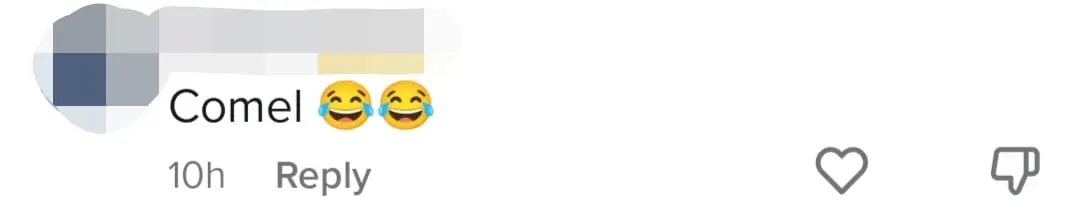 Chubby Puppy Stuck In Car Tyre Rim Wins Netizens Over With It's Adorableness