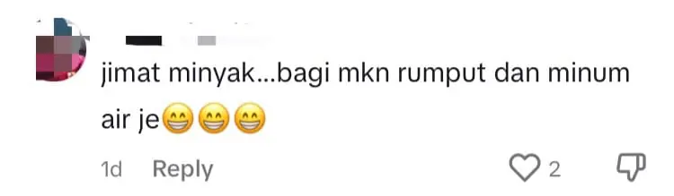 M'sian Girls Spotted Ordering Food At McDonald's While Riding On Horses, Netizens Amused comment 1