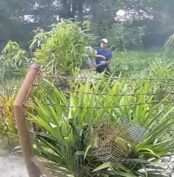 Man hits old woman till she falls on the ground