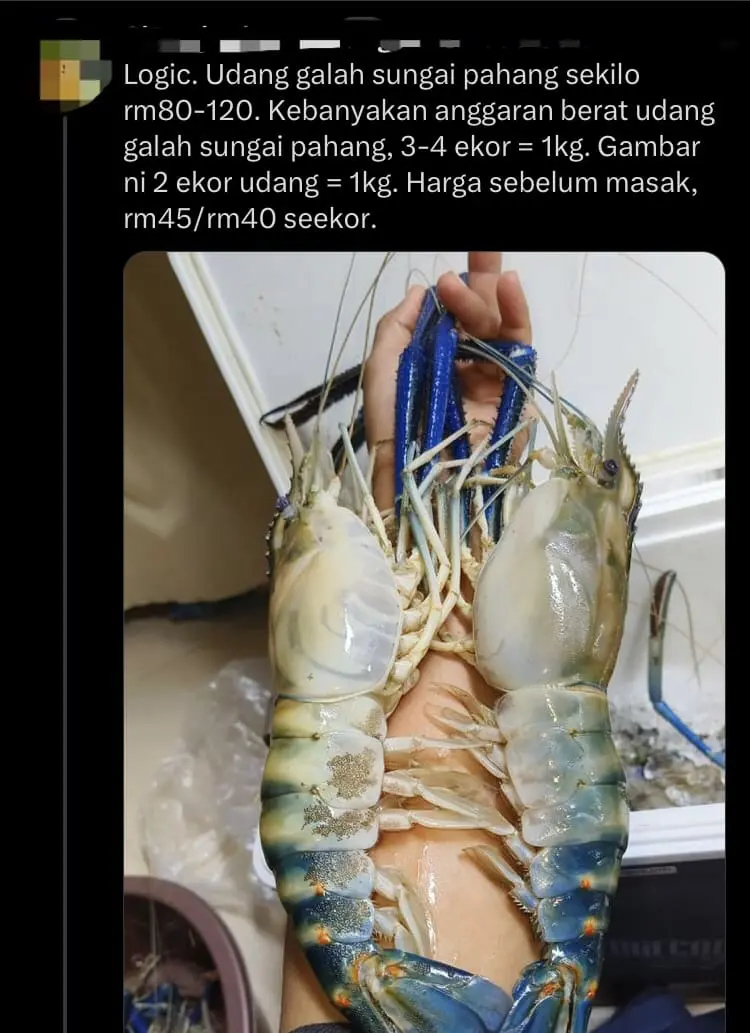 'Is This Logical?' — M'sian Stunned By RM30 Tiger Prawn He Ordered At KL Stall comment 3