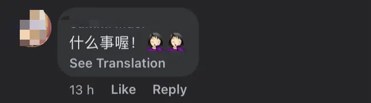 M'sian Woman Forgets To Put Back Pump Nozzle & Drives Off, Rips Cord Into Half comment 2