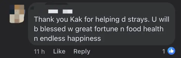 Kind Makcik Seen Feeding Stray Dog, Earns Praise From M'sian Netizens comment 2