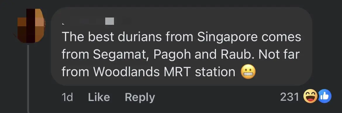 'Did It Grow On The Roof?' — M'sians Mock Poster Which Named Durian As Singapore's National Fruit comment 3