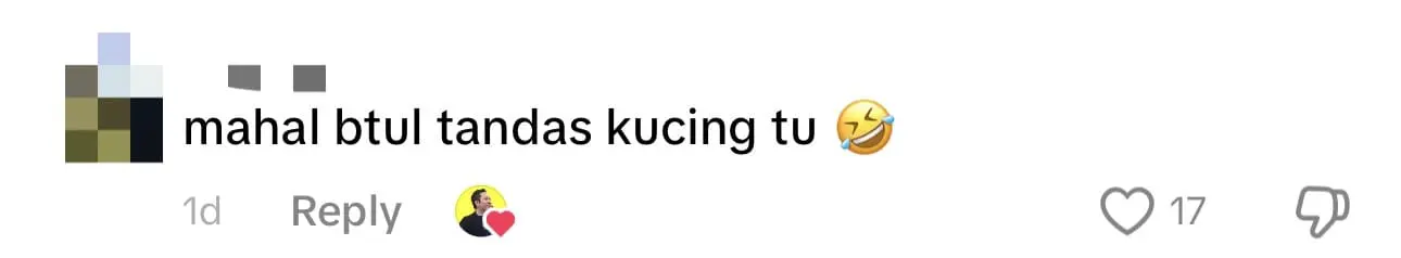 Cat Leaves It's Poop On M'sian Influencer's Lamborghini After Lounging On It comment 1