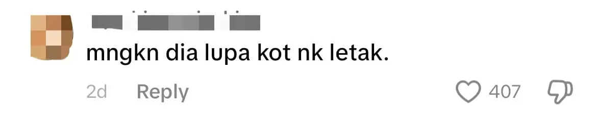 M'sian Woman Pays RM8 For Chicken Rice But Finds No Chicken Inside comment 1