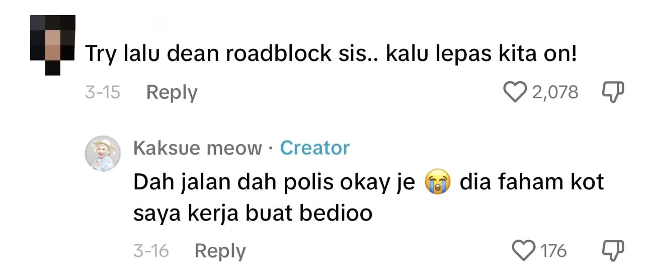 M'sian Woman Takes 6 Hours To Decorate Her Car With Raya Lights And Brings It For A Drive comment 1