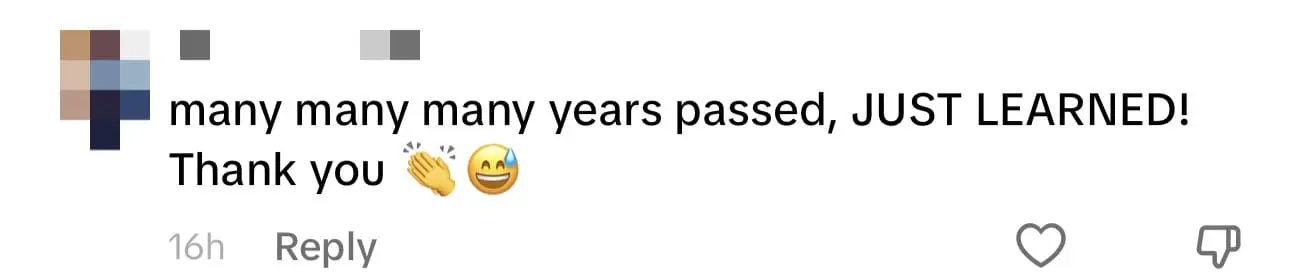 "Chicken Chop Belongs To Msia, Not The West" - British TikToker Confirms comment 2