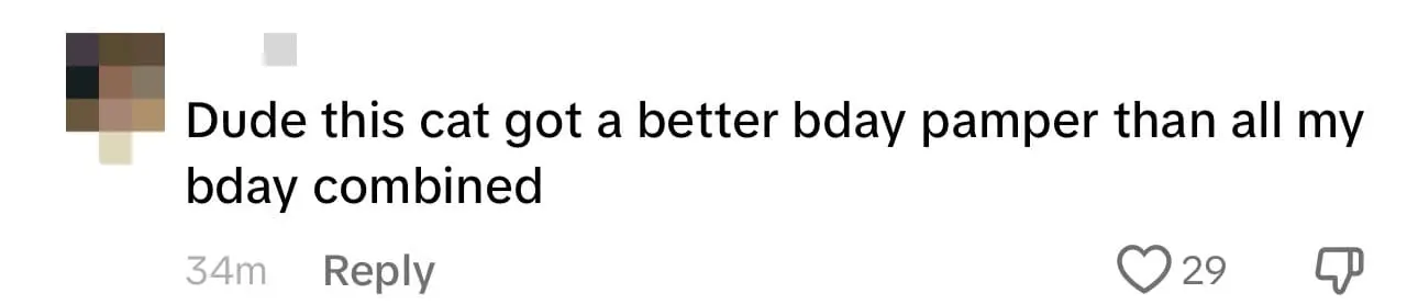 M'sian Family Celebrates Cat's Birthday At Louis Vuitton, Gets A LV Collar & Self Portrait comment 1