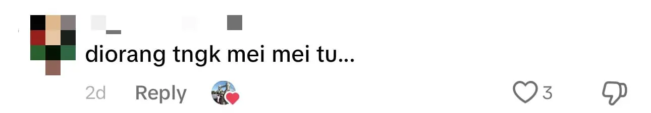 'Adorable!' - Netizens In Awe After Seeing Two M'sian Friends Watching Upin Ipin At Mamak comment 3