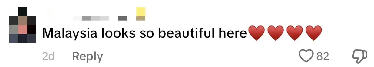 M'sian Spouses Unite Cultures With Kompang, Lion Dance, And Urumi Melam At Wedding comment 2