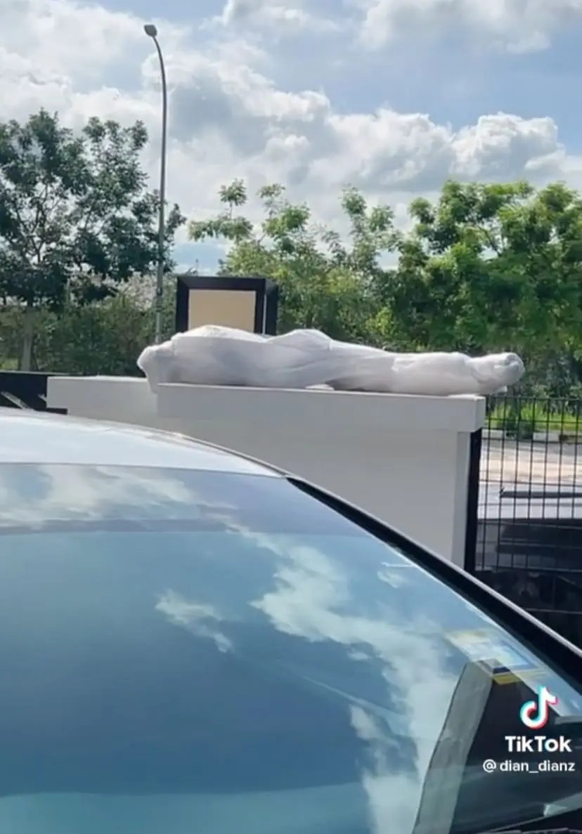 M'sian Woman Shocked To See Her Delivery Packaging Looks Like A Corpse