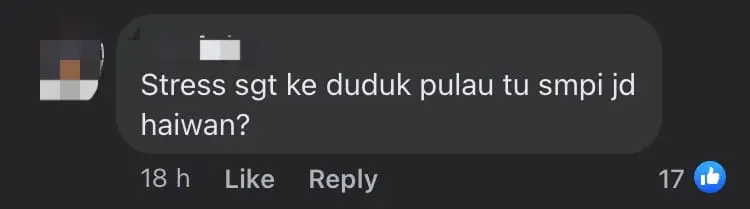 S'pore-Registered Mercedes Refuses To Give Way To Ambulance In JB And Causes Collision comment 1