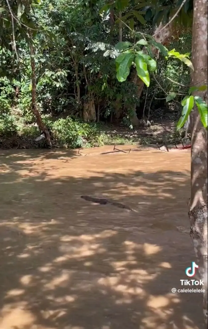 M'sians Struggle In 'Kepala Air' When Eating At An Eatery In A River, Netizens Urge The Eatery To Be Closed
