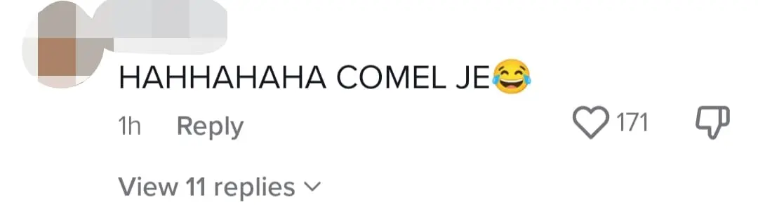 PM Datuk Anwar Shares Video of Him Playing With Granddaughter, Stirs Netizens' Emotions