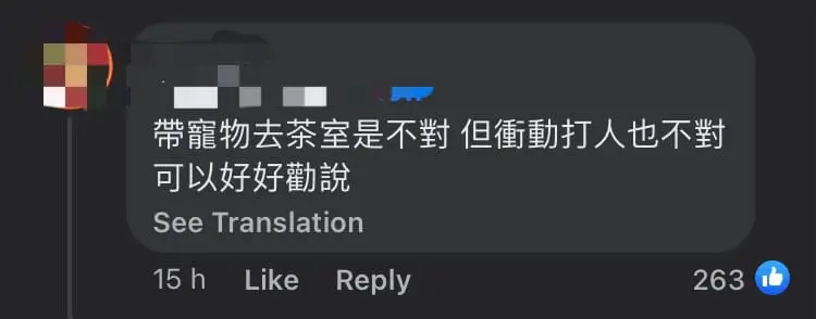 HK Man Beaten By M'sian Patron With Plastic Chair For Bringing 2 Dogs Into Seremban Kopitiam comment 3