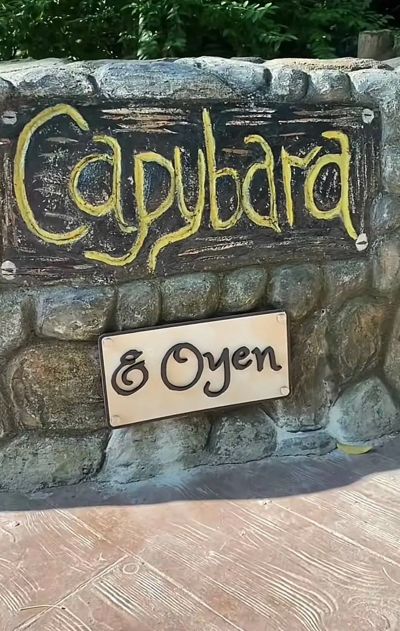 Oyen Which Frequently Hung Out With Capybaras At Zoo Negara Gets Its Very Own Sign