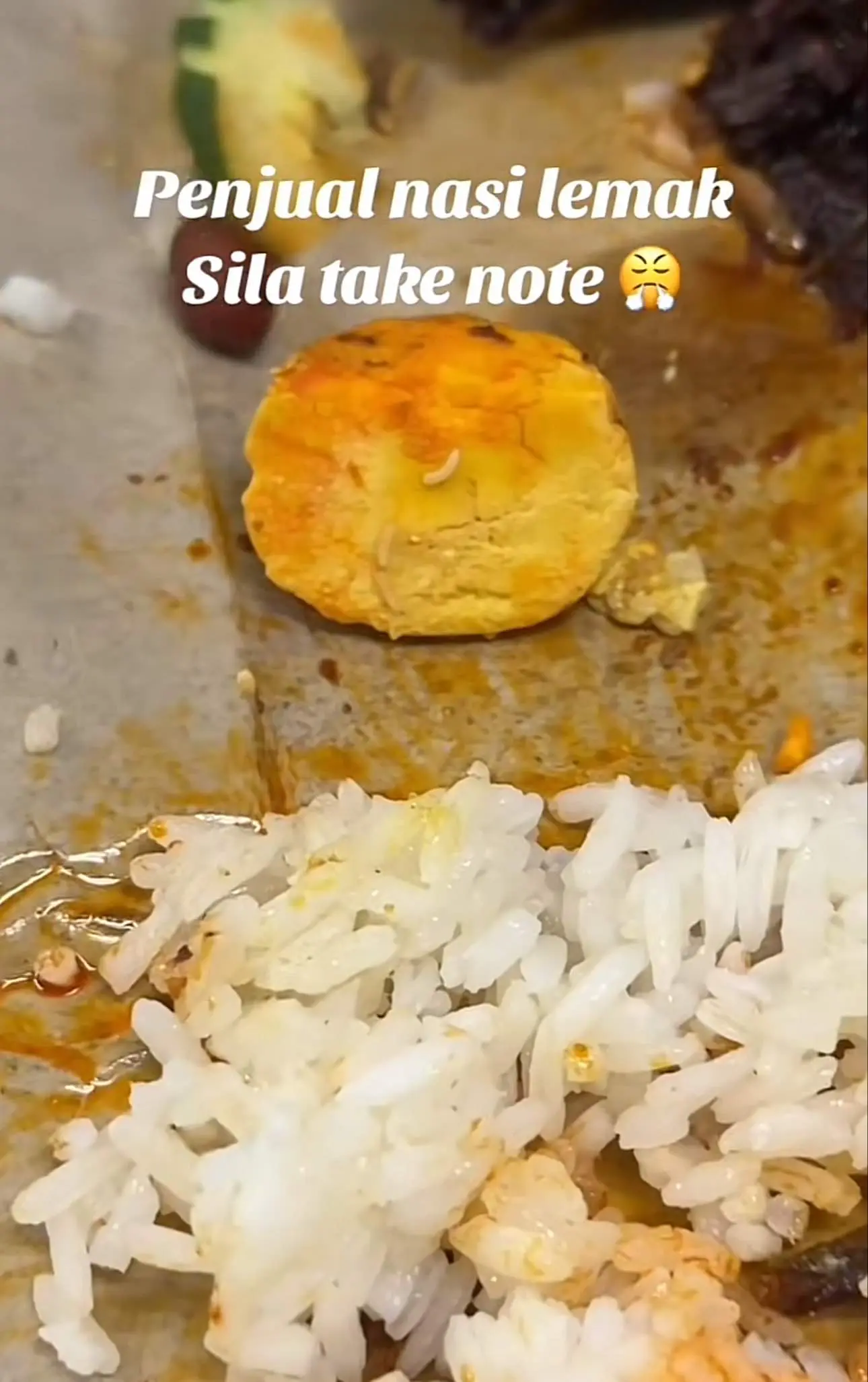 Maggots seen coming out of egg yolk in a Nasi Lemak