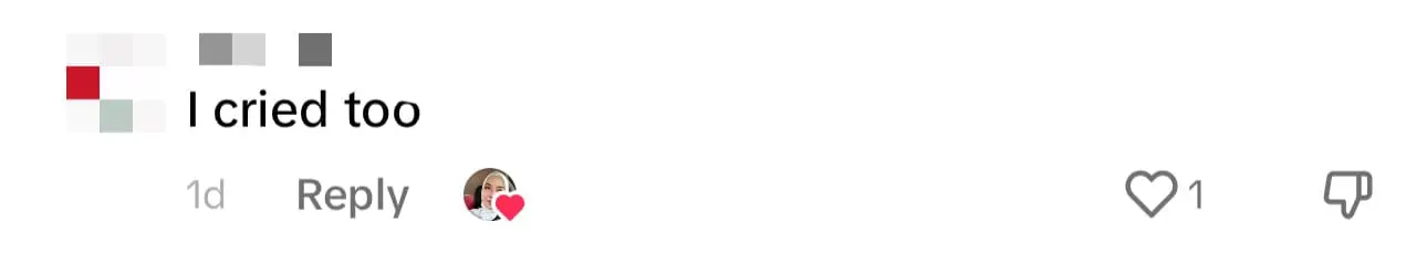 M'sian Aunty Wins Netizens' Hearts After Taking Deceased Cat Off The Road comment 2