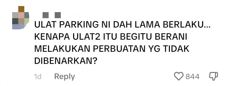 M'sian Woman Has Car Scratched After She Refused To Pay RM15 To 'Parking Worms' comment 1