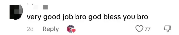 M'sian Man Puts Tree Branch Inside Giant Pothole To Warn Other Drivers comment 1