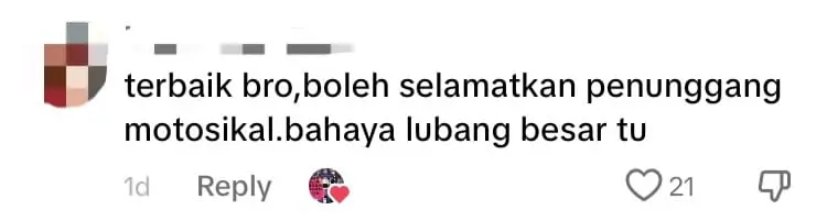 M'sian Man Puts Tree Branch Inside Giant Pothole To Warn Other Drivers comment 2