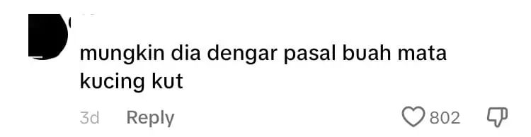 M'sians Eat Cats And Dogs? Aussie TikToker Claps Back At Online Troll Over Ridiculous Claim comment 2