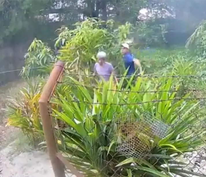 Man hitting elderly woman with stick