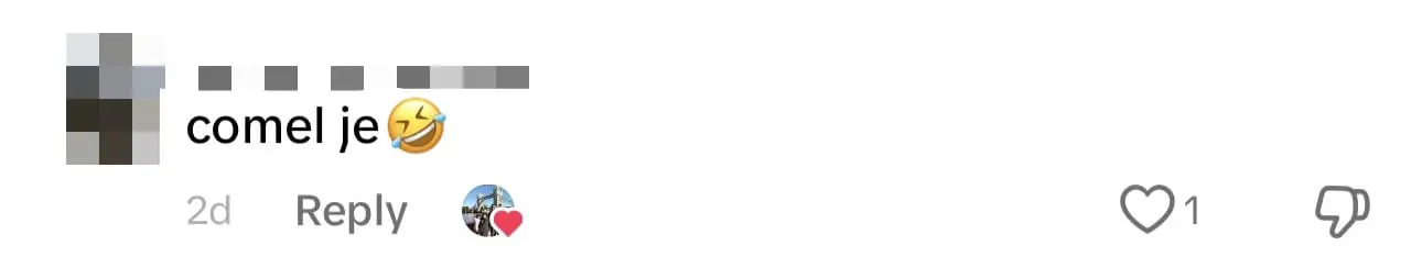 'Adorable!' - Netizens In Awe After Seeing Two M'sian Friends Watching Upin Ipin At Mamak comment 2 