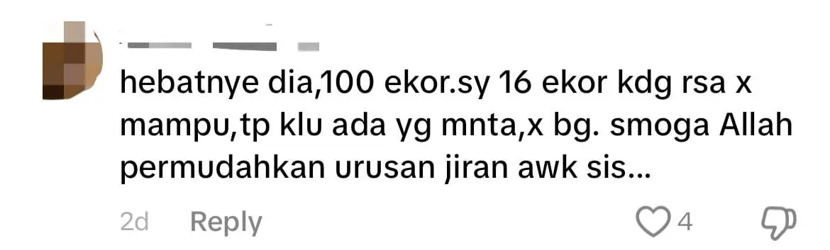M'sian Man Rents Lorry Just To Move His 100 Cats From Ipoh To His New Home In Kedah comment 1