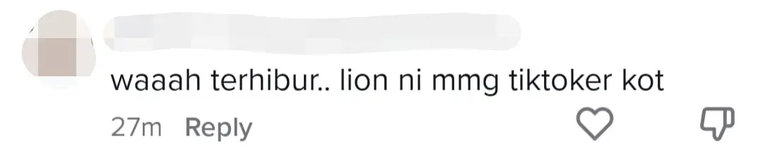 M'sian Lion Dance Troupe Performs Using Trending TikTok Songs, Netizens Amused comment 4