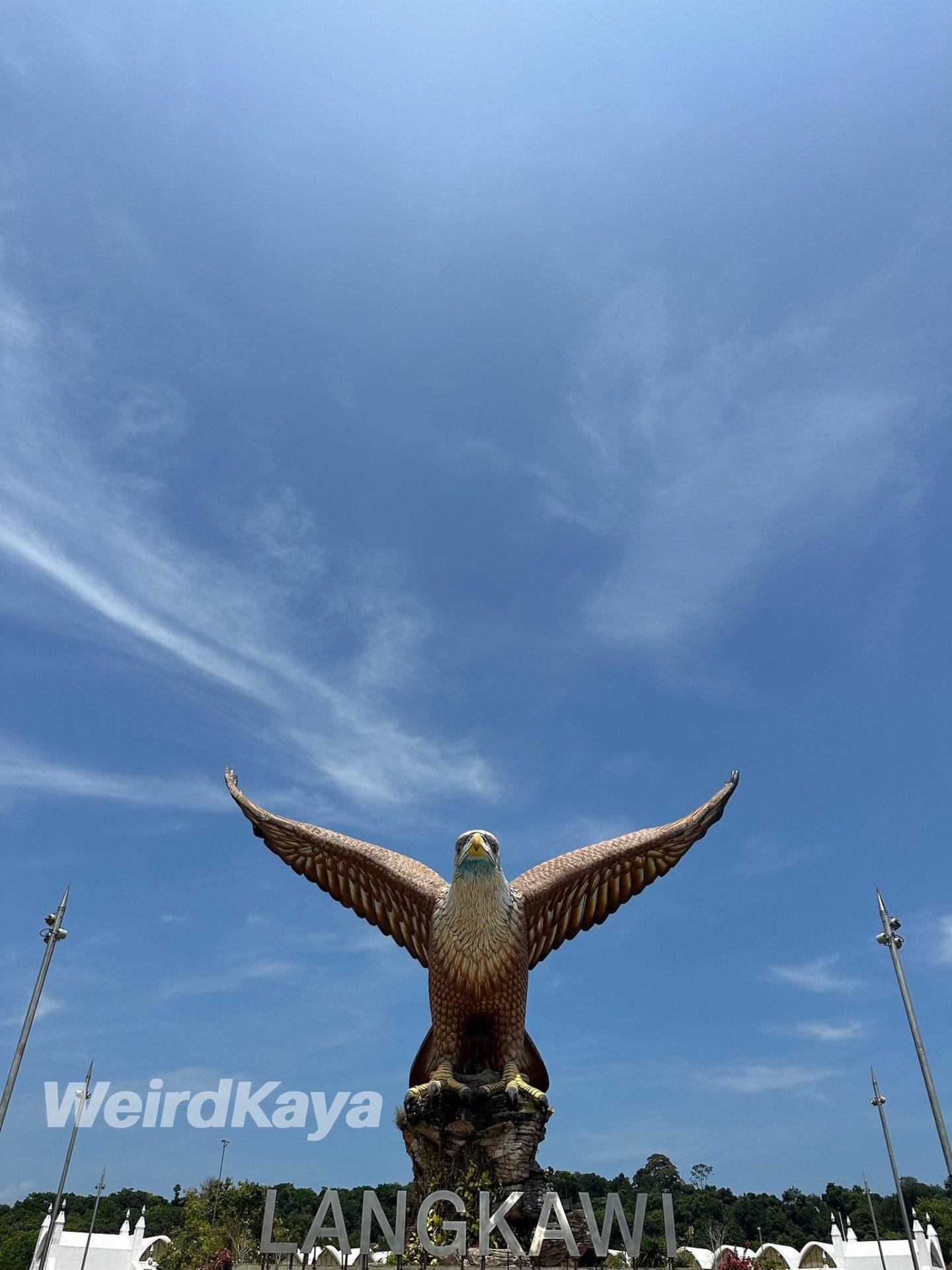 Langkawi eagle