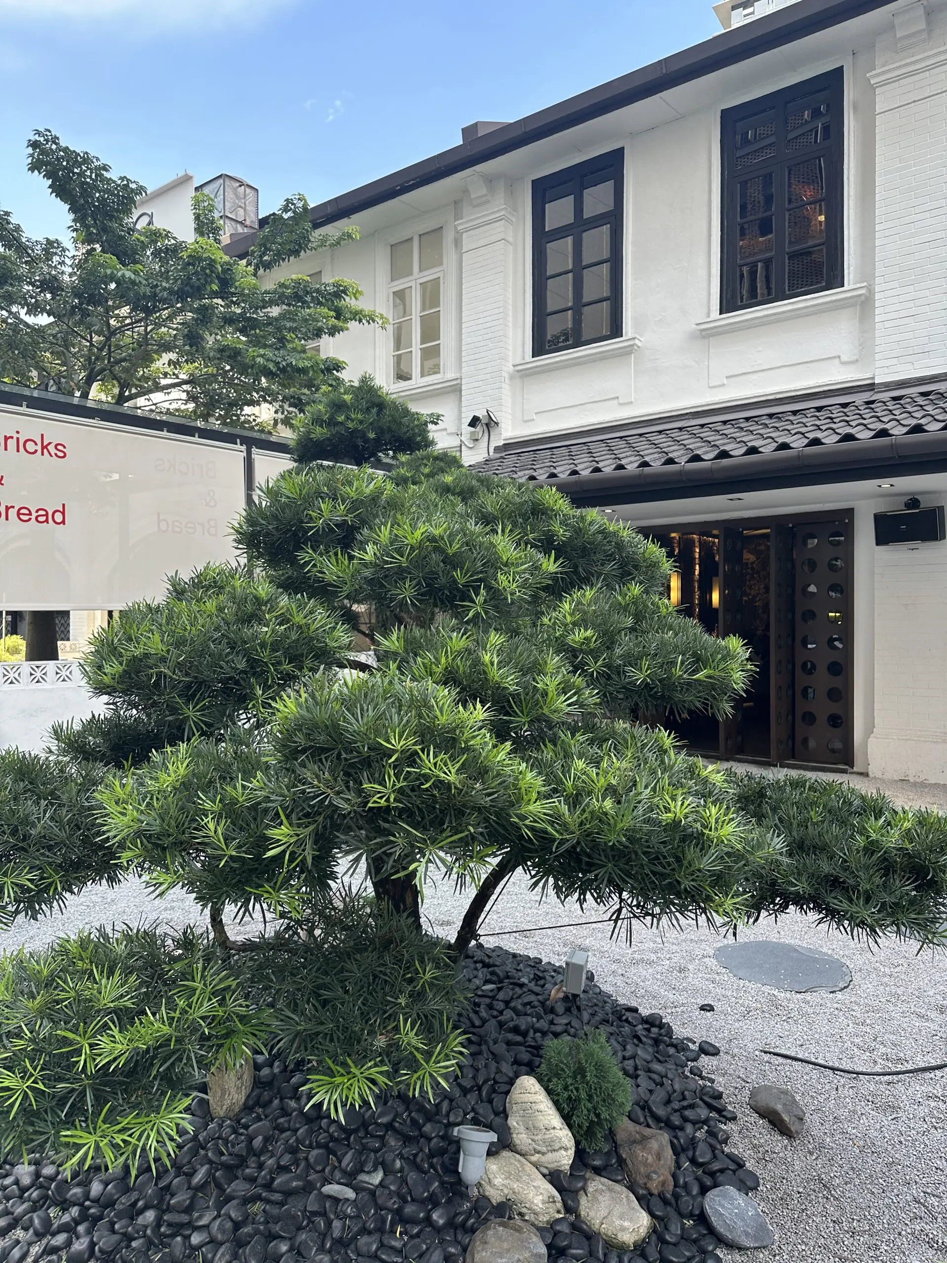 Large Bonsai outside the Qing