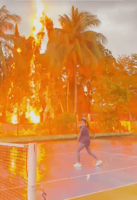 Lightning strike tree beside tennis court Screenshot 2025-02-20 165644 (3)