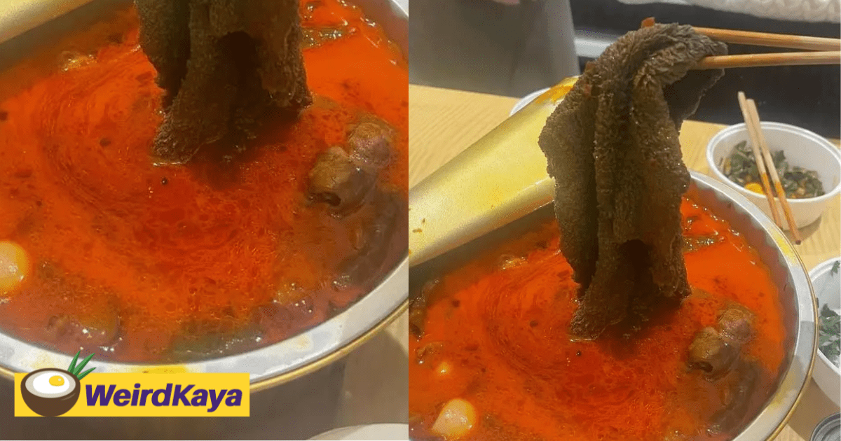 China Man Thinks He Found Beef Tripe In Hotpot, Turns Out It Was A Used Dishcloth