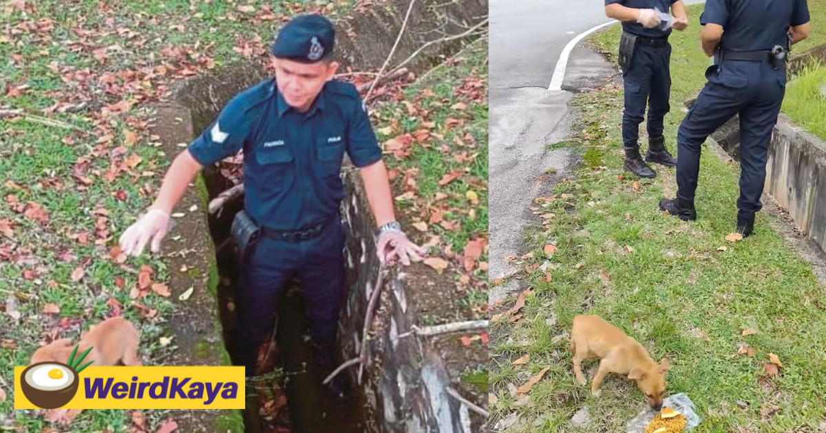 Malay M'sian Police Officer Rescues Puppy From Drain, Wins Praise Online